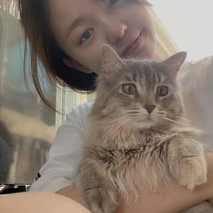 Meet your Posher, Sufei